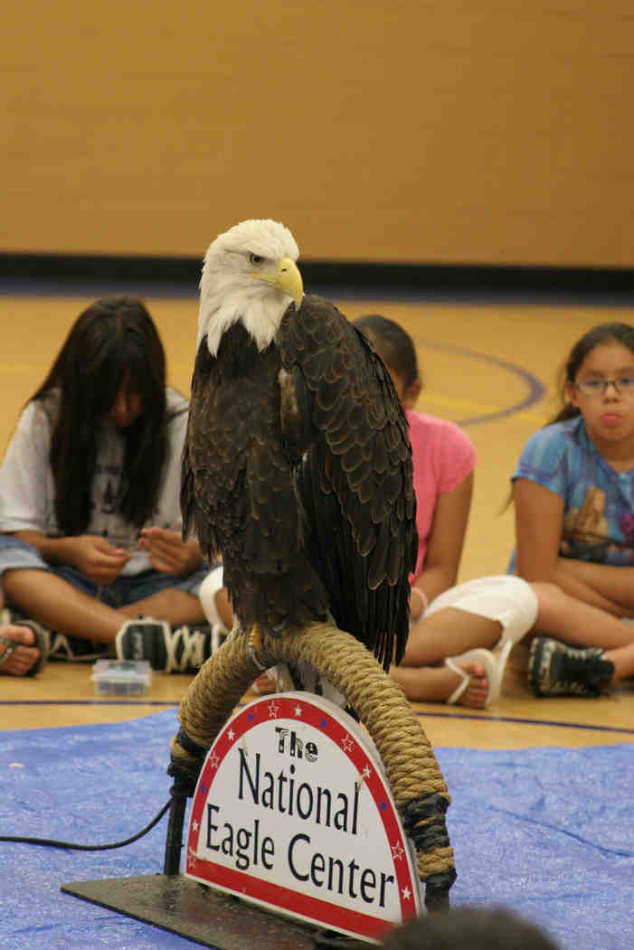 The wanbli - eagle - is a winged symbol for the Lakota (Sioux) people.