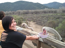 The Lakota students visited an ostrich farm on their trip to a donor appreciation event in California.