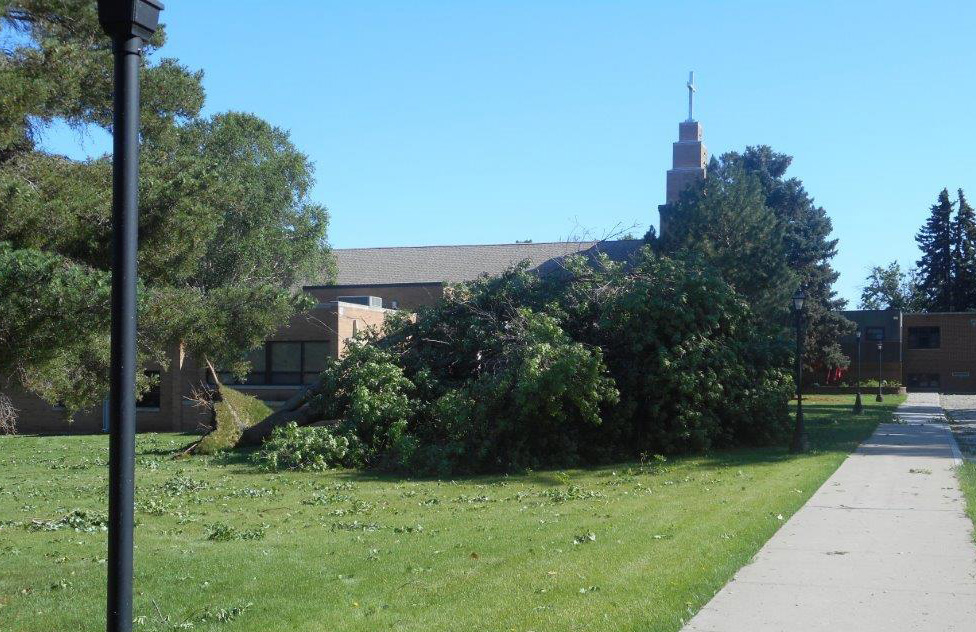 Trees around St. Joseph’s campus were damaged in severe thunderstorms over the weekend. 