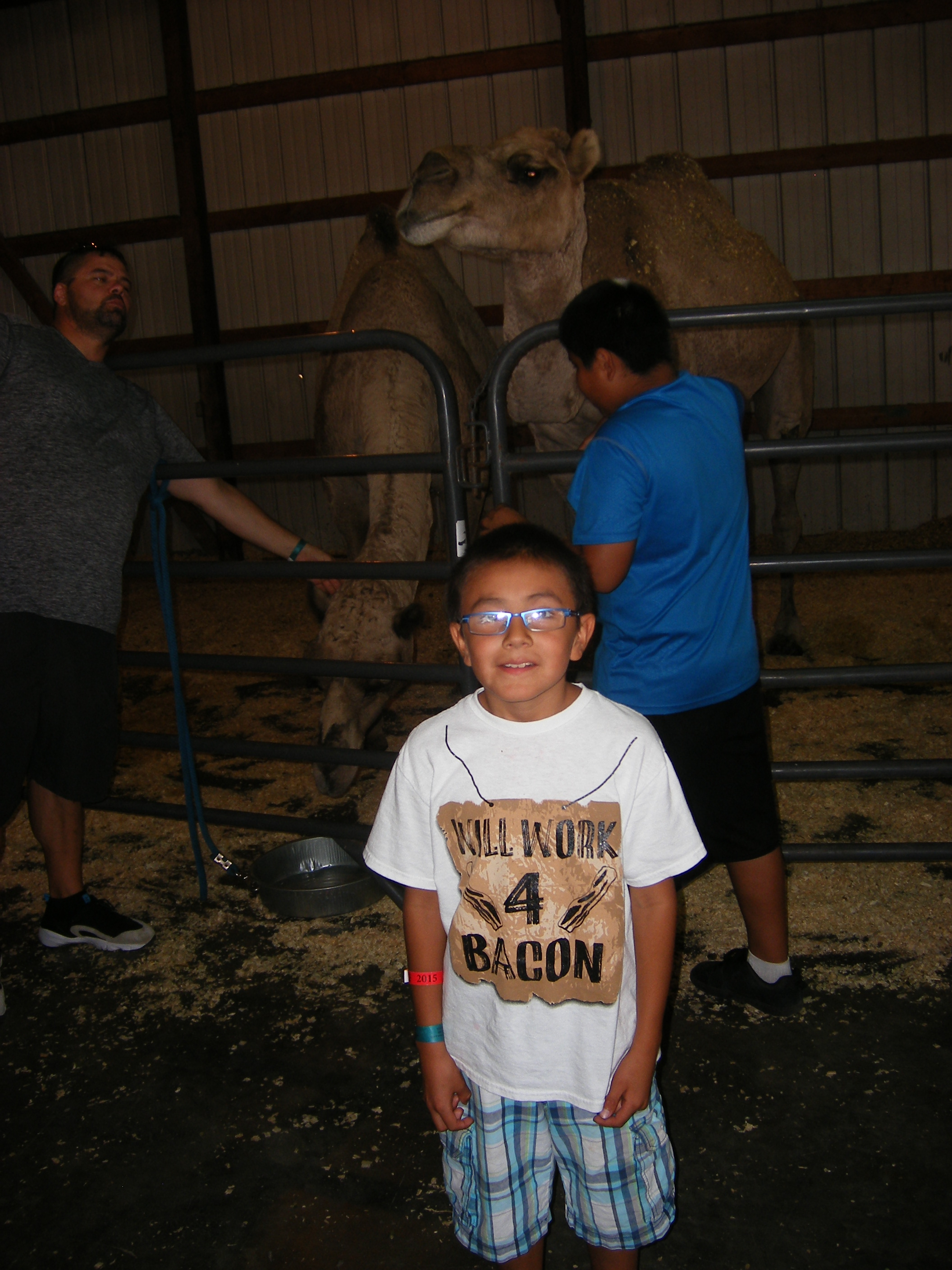 The Lakota(Sioux) students enjoyed feeding the camel. 