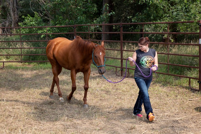 Cool Girl Names For Horses In Lakota